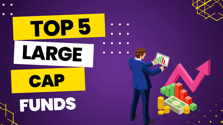 Top 5 Large Cap Mutual Funds to Invest in January 2025
